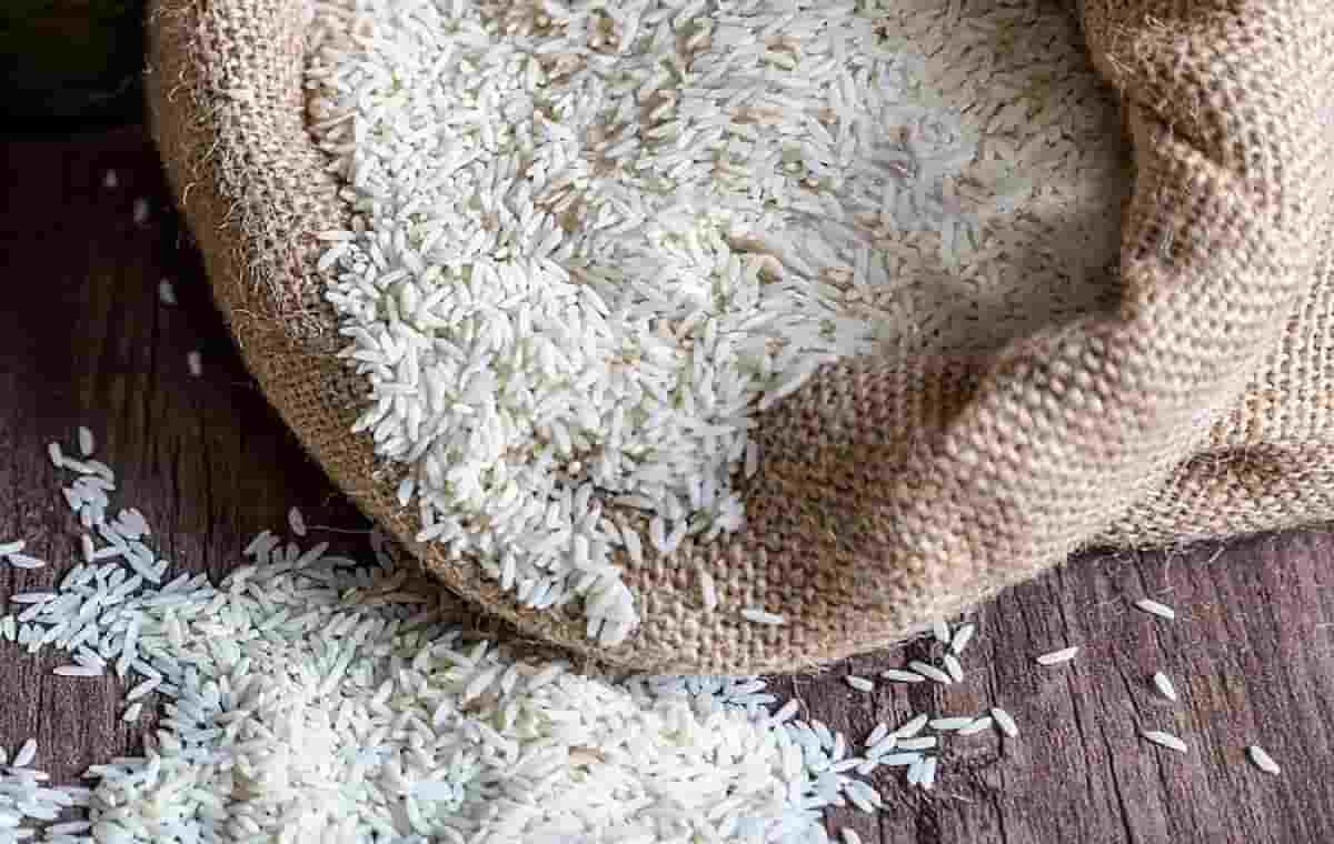 تصویر 4 از برنج پاکستانی درجه یک + قیمت